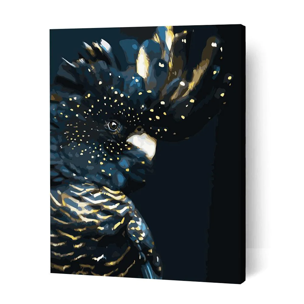 Black Cockatoo Australia Paint By Numbers