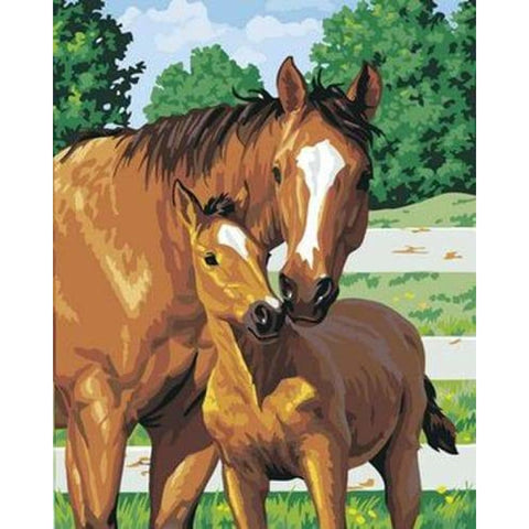 Animal Horse Diy Paint By Numbers Kits ZXB325 - NEEDLEWORK KITS
