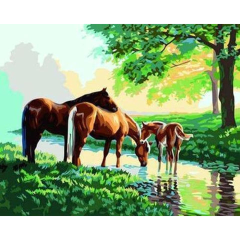 Animal Horse Diy Paint By Numbers Kits ZXB340 - NEEDLEWORK KITS