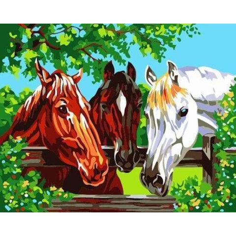 Animal Horse Diy Paint By Numbers Kits ZXB531 - NEEDLEWORK KITS