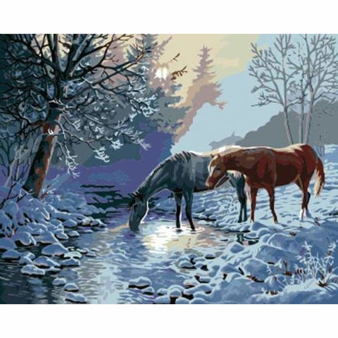 Animal Horse Diy Paint By Numbers Kits ZXB732 - NEEDLEWORK KITS
