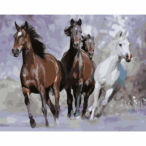 Animal Horse Diy Paint By Numbers Kits ZXB826 - NEEDLEWORK KITS