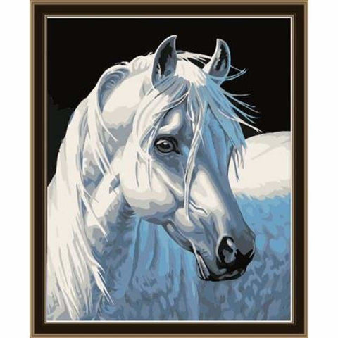 Animal Horse Diy Paint By Numbers Kits ZXE051 - NEEDLEWORK KITS