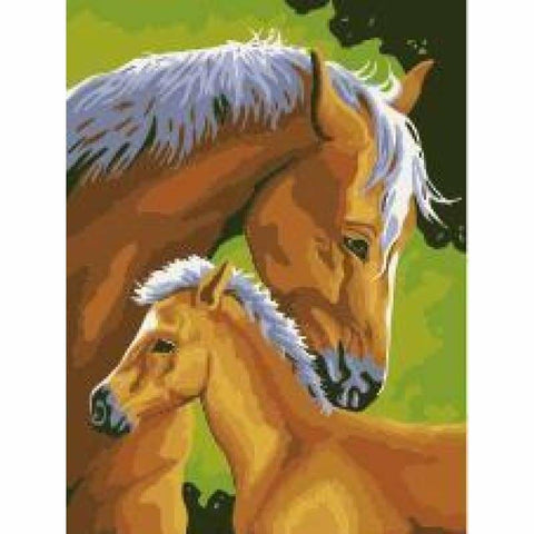 Animal Horse Diy Paint By Numbers Kits ZXE498 - NEEDLEWORK KITS
