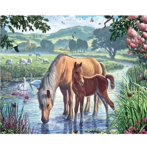 Animal Horse Diy Paint By Numbers Kits ZXQ2810 - NEEDLEWORK KITS