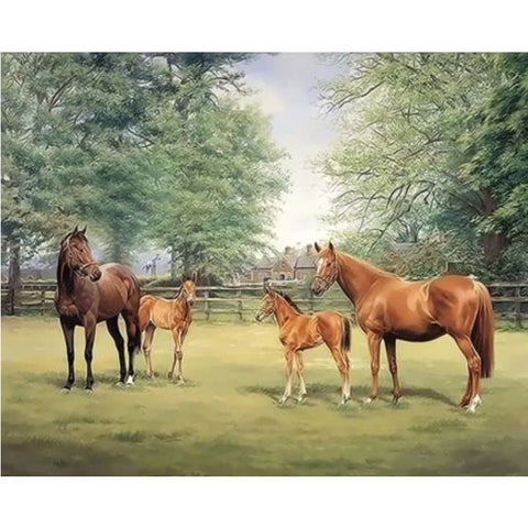 Animal Horse Diy Paint By Numbers Kits ZXQ3347 - NEEDLEWORK KITS