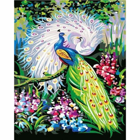 Animal Peacocks Diy Paint By Numbers Kits ZXE266