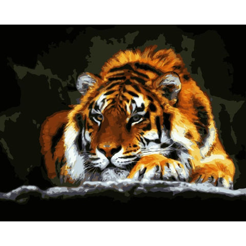 Animal Tiger Diy Paint By Numbers Kits WM-756 - NEEDLEWORK KITS