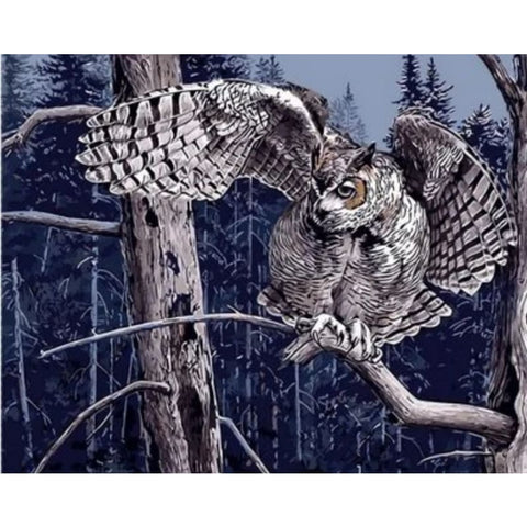 Color Animal Owl Diy Paint By Numbers Kits ZXQ638 - NEEDLEWORK KITS