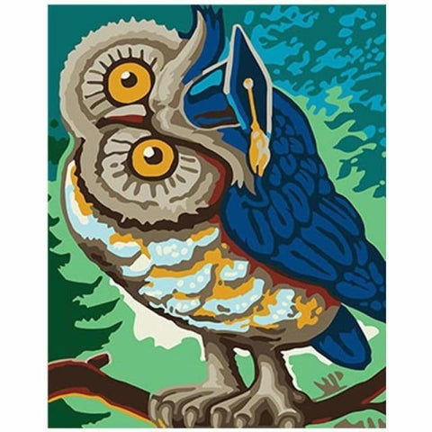 Colorful Owl Diy Paint By Numbers Kits PBN91191 - NEEDLEWORK KITS