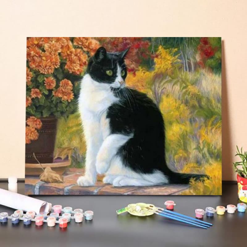 Cute Cat – Paint By Numbers Kit – Australia Paint By Numbers