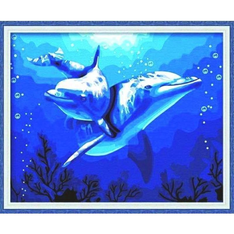 Dolphin Diy Paint By Numbers Kits YM4050053 Australia Paint By