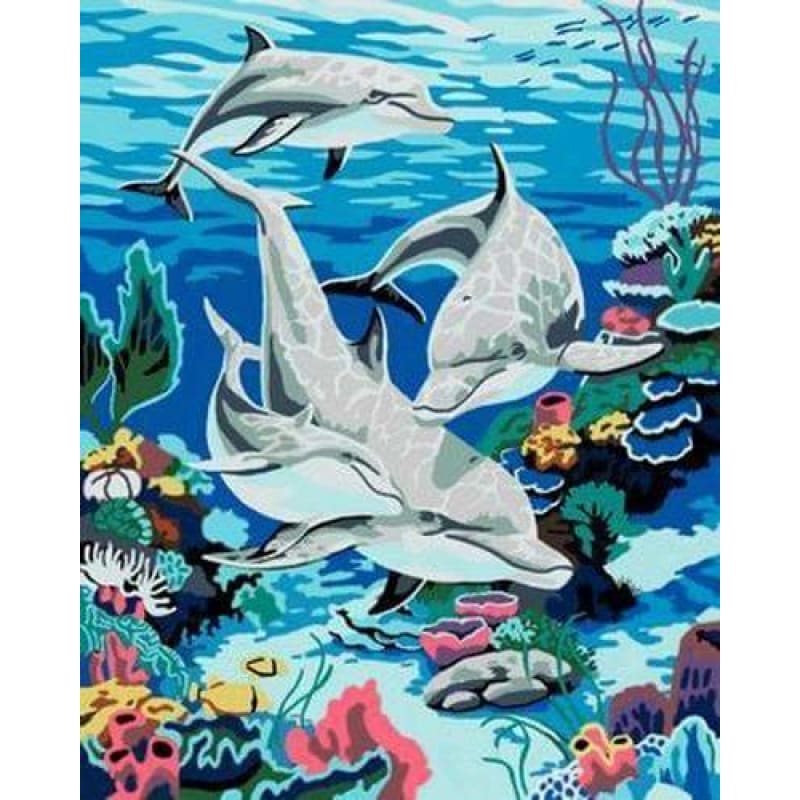 Buy Dolphin Diy Paint By Numbers Kits ZXB347 Australia Australia