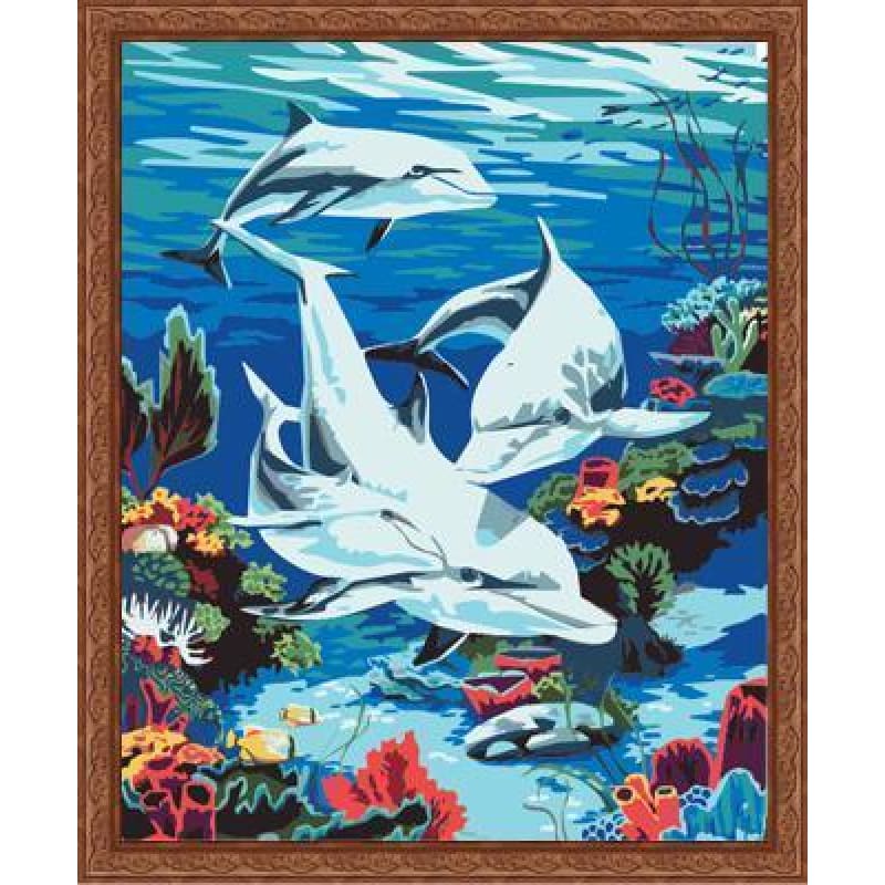 Dolphin Diy Paint By Numbers Kits ZXE137 Australia Paint By