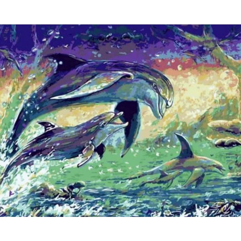 Dolphin Diy Paint By Numbers Kits ZXQ715 Australia Paint By