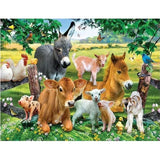 Donkey Diy Paint By Numbers Kits PBN30235 - NEEDLEWORK KITS