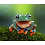 Frog Diy Paint By Numbers Kits PBN30227 - NEEDLEWORK KITS