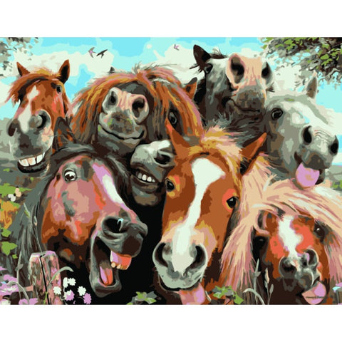Horse Diy Paint By Numbers Kits WM-1616 - NEEDLEWORK KITS