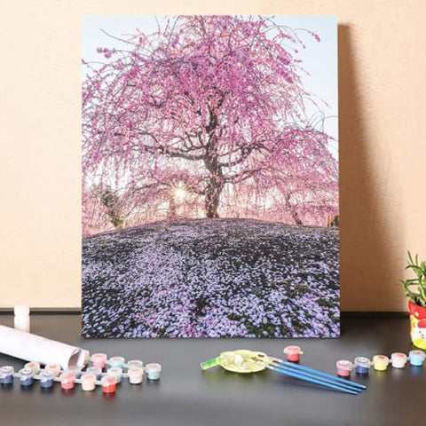 Paint By Numbers Kit-Spring In Japan IX