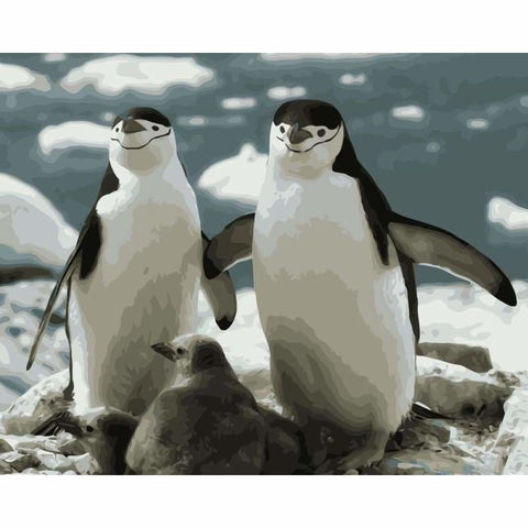 Penguin Diy Paint by Numbers Kits DIY PBN30123 - NEEDLEWORK KITS