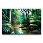 The Daintree Rainforest Australia II