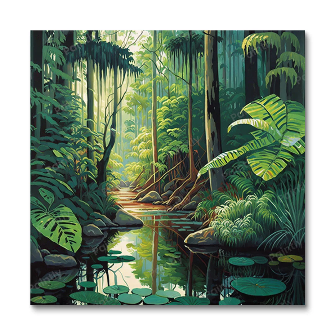The Daintree Rainforest Australia I