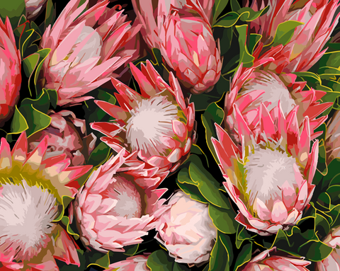 Waratah Bunch