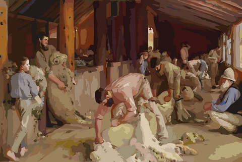 Shearing The Rams