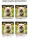 Paint by Numbers Kit-CuteOwl