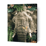 Photorealistic Animal Bundle