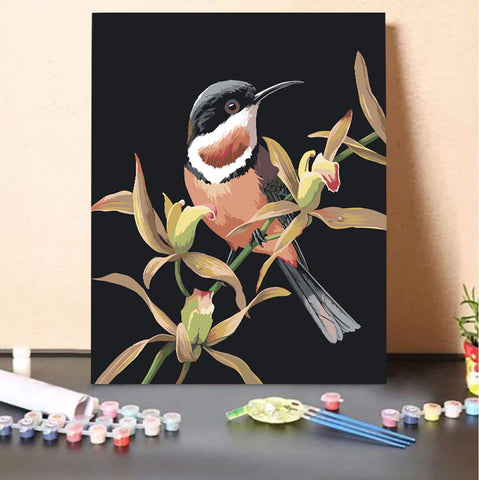 Spinebill & Cymbidium