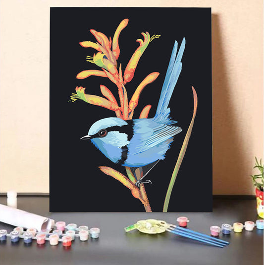 Splendid Wren, Kanga Paw