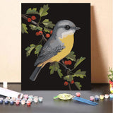 Yellow Robin