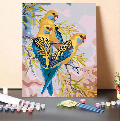 Yellow Rosellas