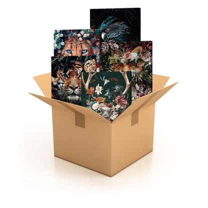 Animals Bundle X