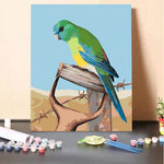 Red-rumped Parrot