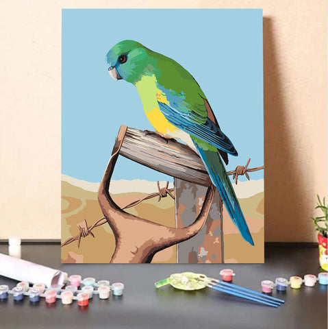 Red-rumped Parrot