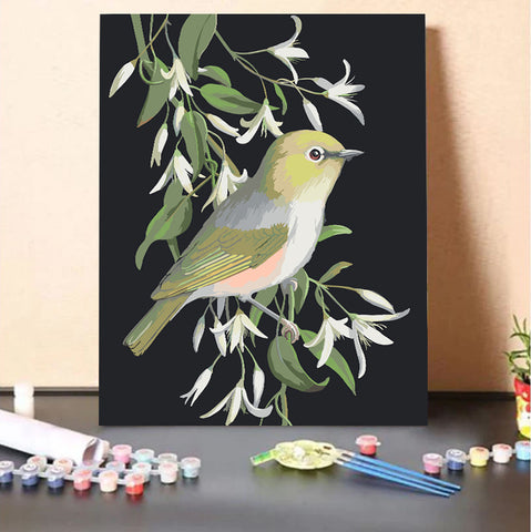Silvereye White Creeper