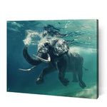 Animals Bundle VII