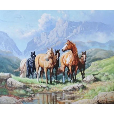 Animal Horse Diy Paint By Numbers Kits ZXQ3345 - NEEDLEWORK KITS