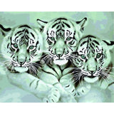 Animal Tiger Diy Paint By Numbers Kits ZXQ049 - NEEDLEWORK KITS