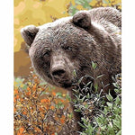 Bear Diy Paint By Numbers Kits PBN95731 - NEEDLEWORK KITS