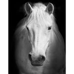 Black And White Diy Paint By Numbers Kits VM55975 - NEEDLEWORK KITS