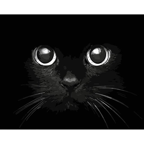 Black Cat Diy Paint By Numbers Kits WM-030 - NEEDLEWORK KITS