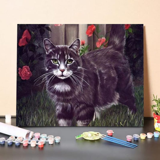 Black Cat – Paint By Numbers Kit