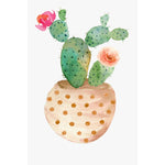 Cactus Diy Paint By Numbers Kits VM30182 - NEEDLEWORK KITS