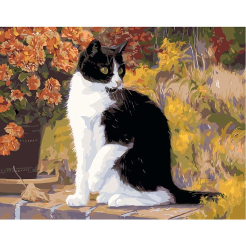 Cat Diy Paint By Numbers Kits SY-4050-025 - NEEDLEWORK KITS