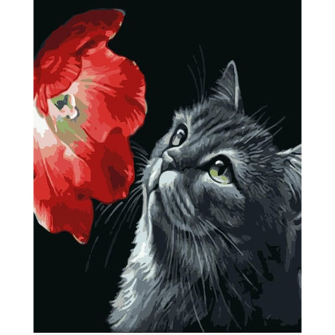 Cat Diy Paint By Numbers Kits WM-1342 - NEEDLEWORK KITS