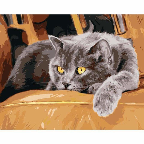 Cat Diy Paint By Numbers Kits WM-190 - NEEDLEWORK KITS