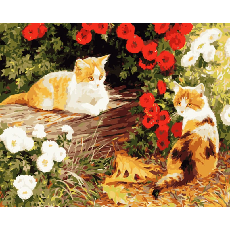 Cat Diy Paint By Numbers Kits WM-861 - NEEDLEWORK KITS